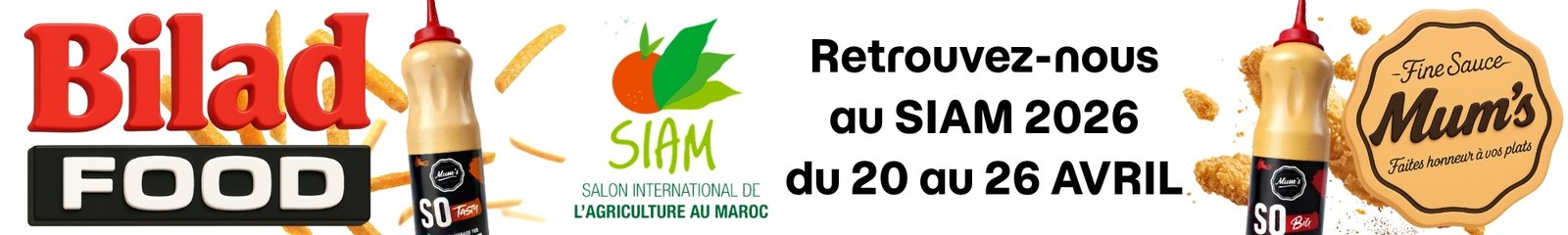 Copie de banniere bilad food pro
